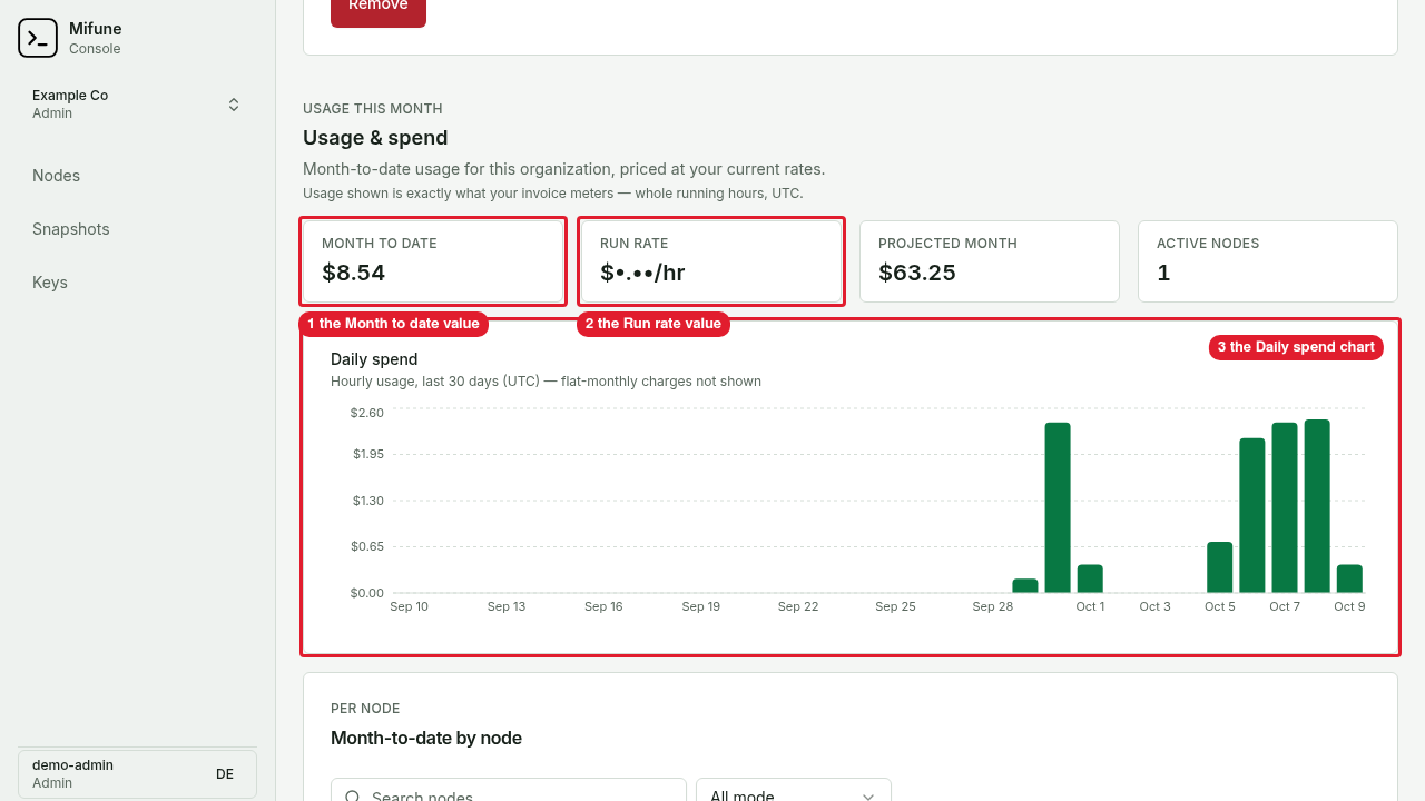 The Usage and spend section of Example Co shows the month-to-date cost, the run rate, and the Daily spend chart.