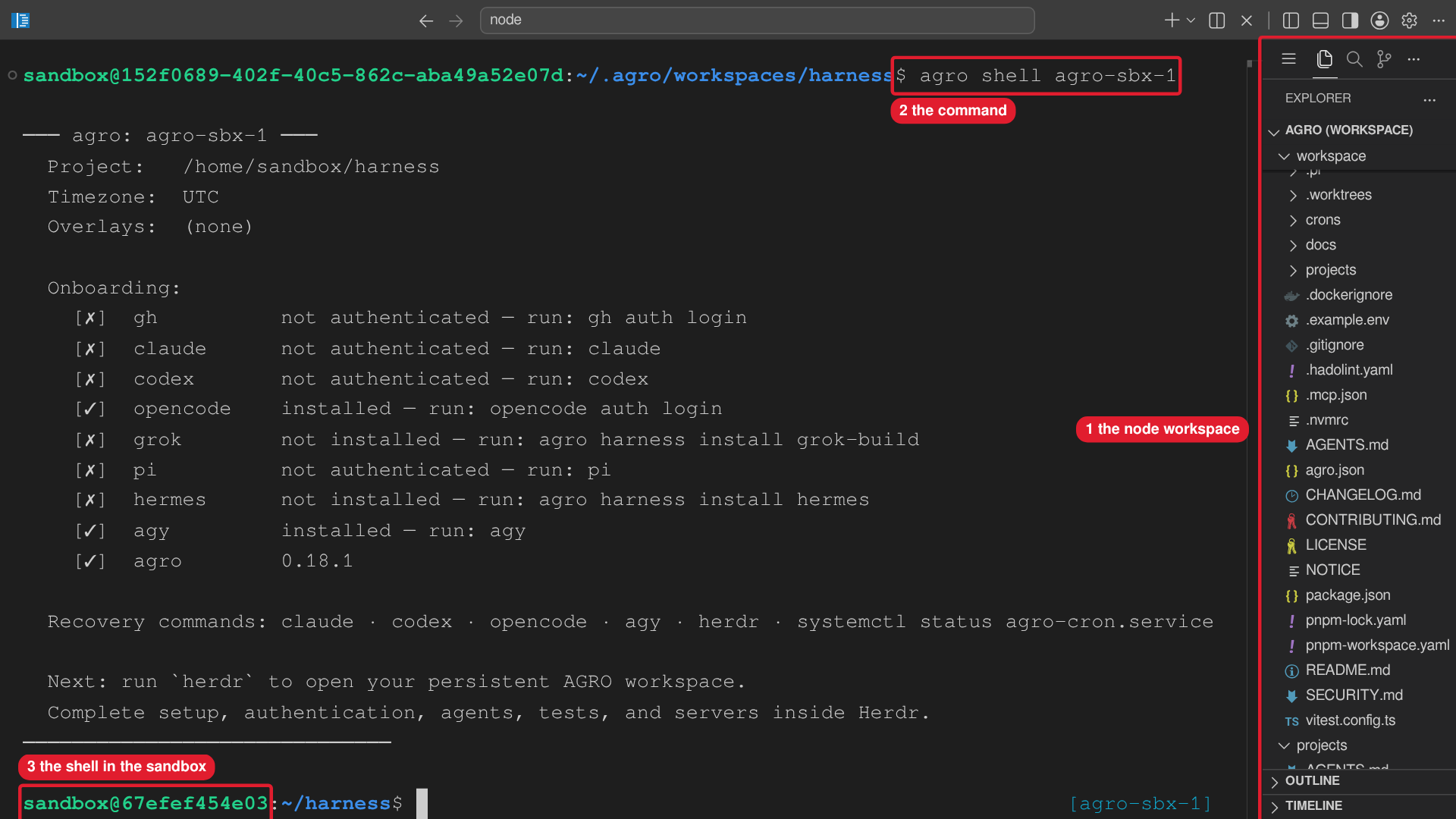 The browser editor shows the node workspace and a terminal that runs agro shell into the sandbox.