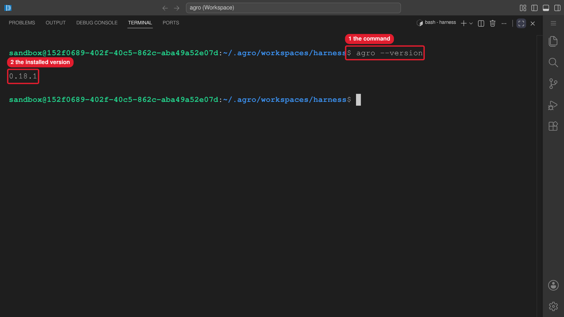 The editor terminal runs agro --version and prints the installed version.