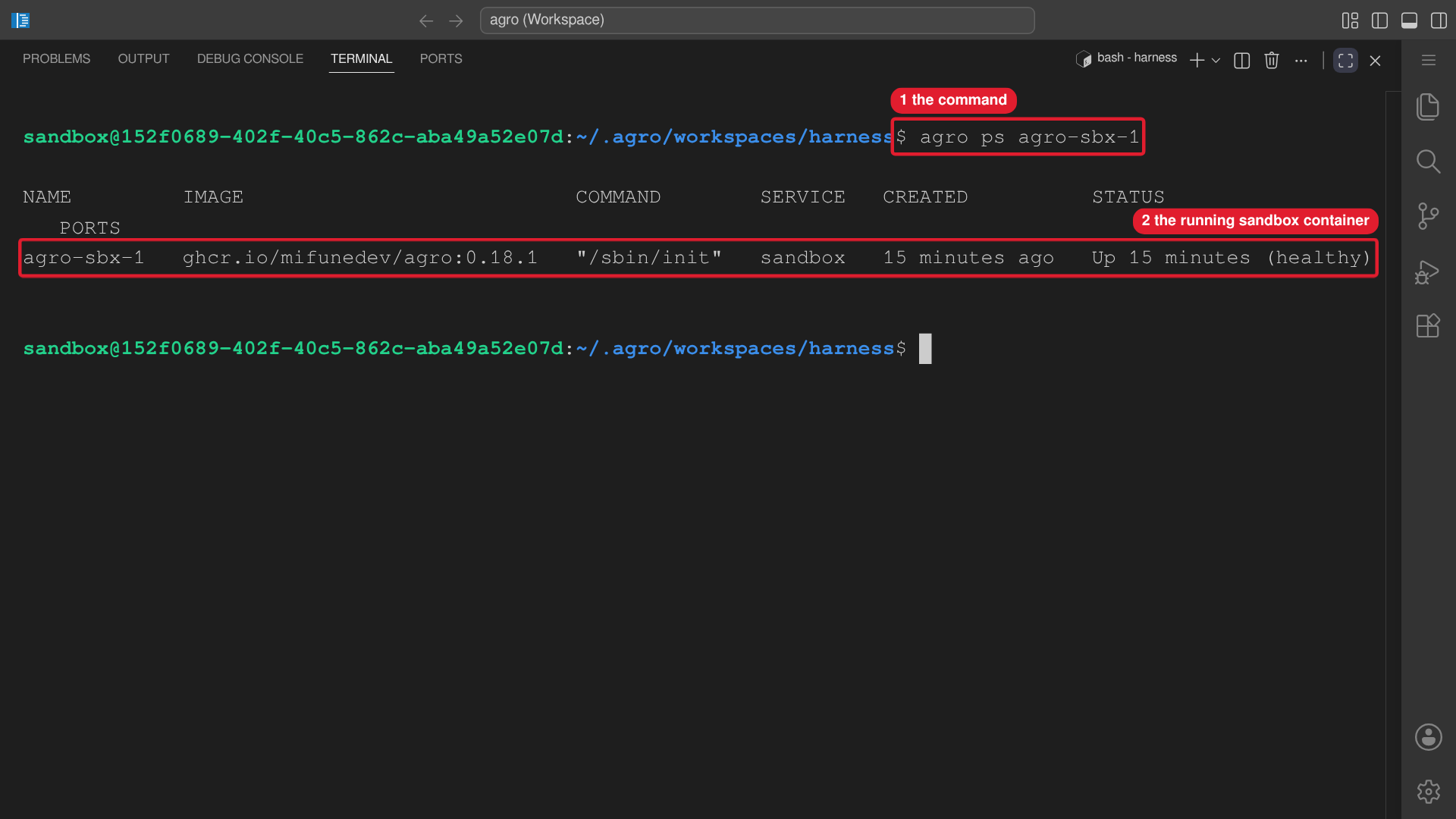 The editor terminal runs agro ps for one sandbox and shows its running container.