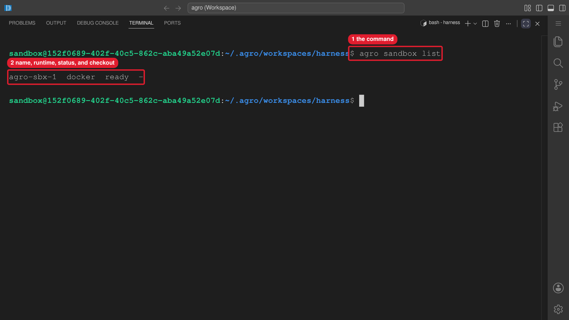 The editor terminal runs agro sandbox list and shows one registry entry.