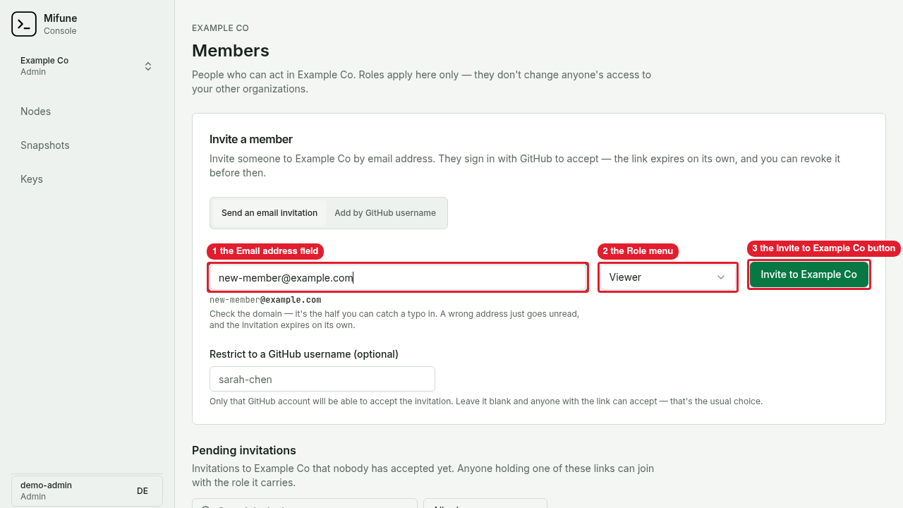 The Invite a member card shows an example.com email address in the Email address field and the Viewer role.