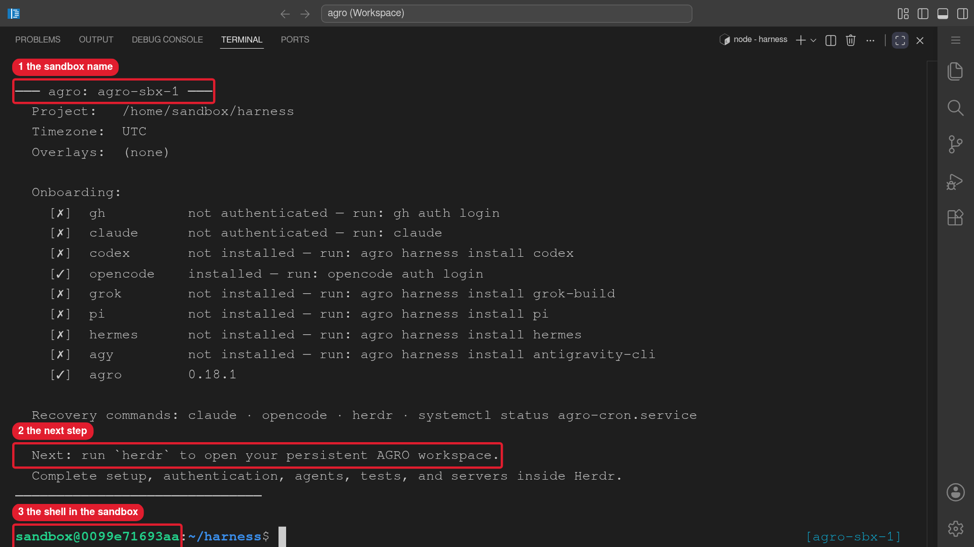 The editor terminal shows the agro shell banner and the zsh prompt in the sandbox.